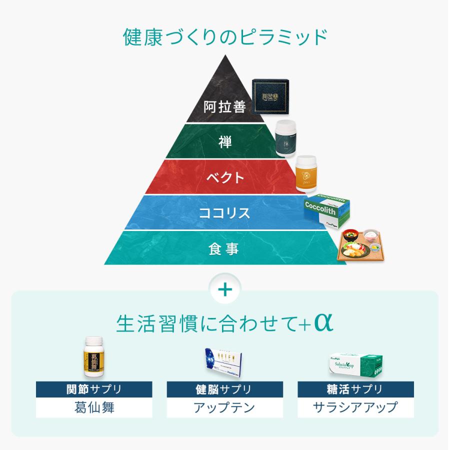 マイクロアルジェ 藻のサプリ ココリス 100袋 満ちるカルシウム 吸収効率に配慮した設計 カルシウム マグネシウム 鉄 亜鉛 ビタミンD 【選べるおまけ付き】 |  | 13