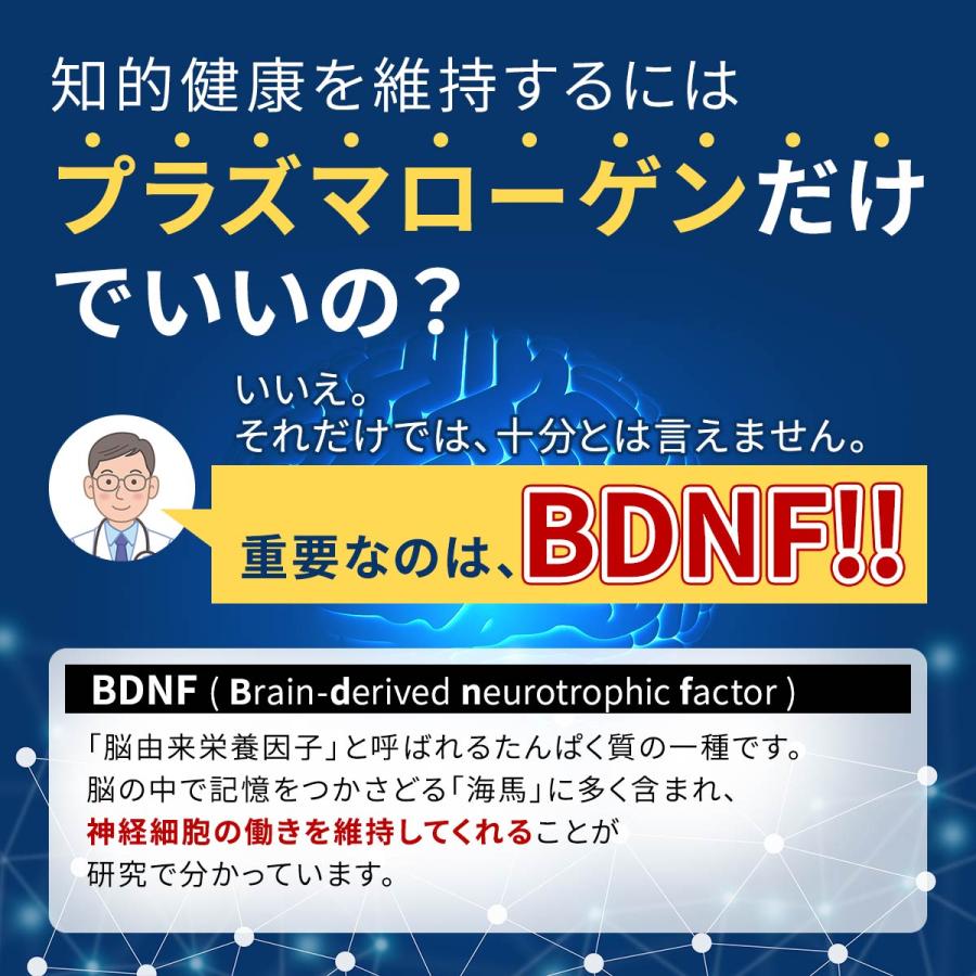 マイクロアルジェ アップテン 藻 サプリ 60粒 うっかり防止 知的