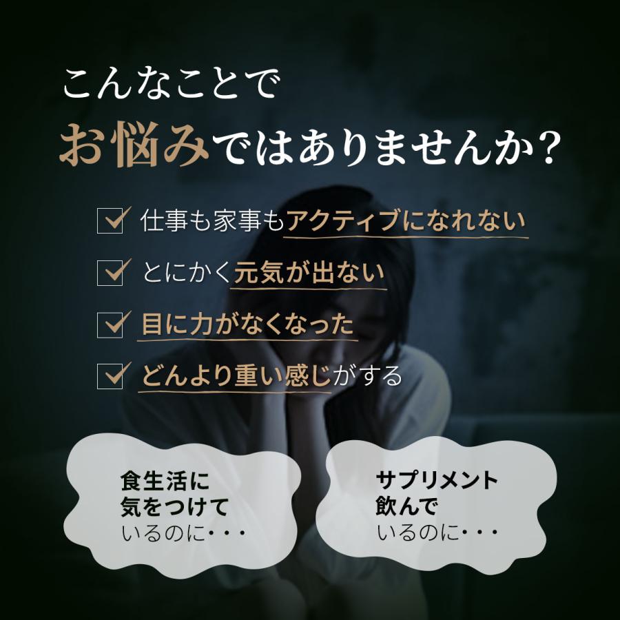マイクロアルジェ 藻のサプリ 禅 240粒 複合クロレラ食品 めぐりサポート OD値10000 高濃度 クロレラ ヒハツ ザクロ えごま油 コメ胚芽油 【選べるおまけ付き】 |  | 03
