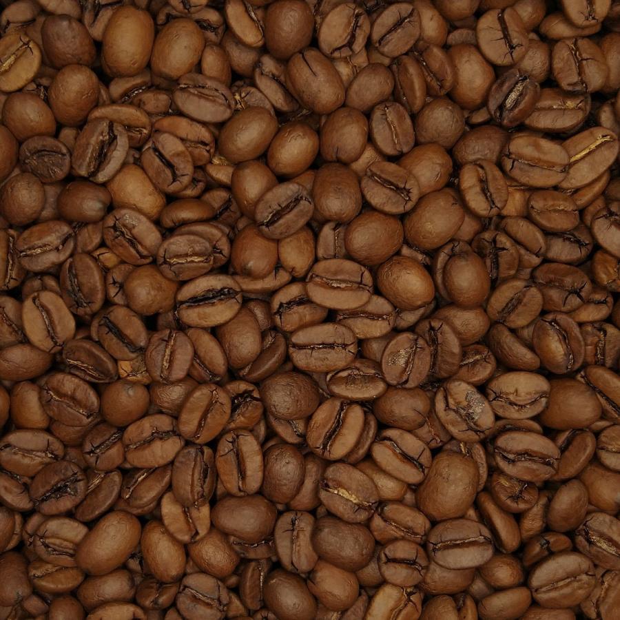 ブラジル／セラード樹上完熟〜晩秋摘み〜［ミディアム］(100g) | 