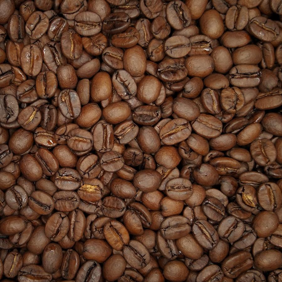 ブラジル／セラード樹上完熟〜晩秋摘み〜［シティ］(200g) | 