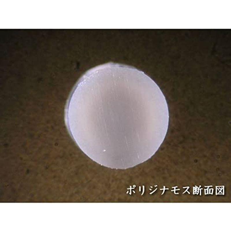 【公式】 WINNING SHOT (ウィニングショット) ポリジナモス130 (POLY DINAMOS) (ゲージ:1.30mm) 240mロール 【2291799410】(11923円)