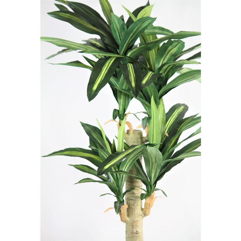 人工観葉植物、フェイクグリーン，造花、 新ドラセナW（幸福の木）・光触媒，受け皿付き 幸福の木 人工観葉植物 フェイクグリーン，造花 新ドラセナW 光触媒，受け皿付き 　