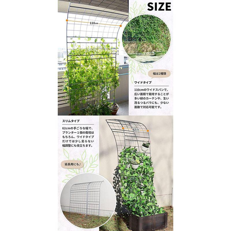 ガーデンガーデン グリーンカーテンやローズフェンスに フレキシブル ウォールフェンス スリム ハイタイプ 幅62cm×高さ225cm ハンマ グリーンカーテンやローズフェンスに フレキシブル ウォールフェンス スリム ハイタイプ 幅62cm×高さ225cm ハンマ サイズ