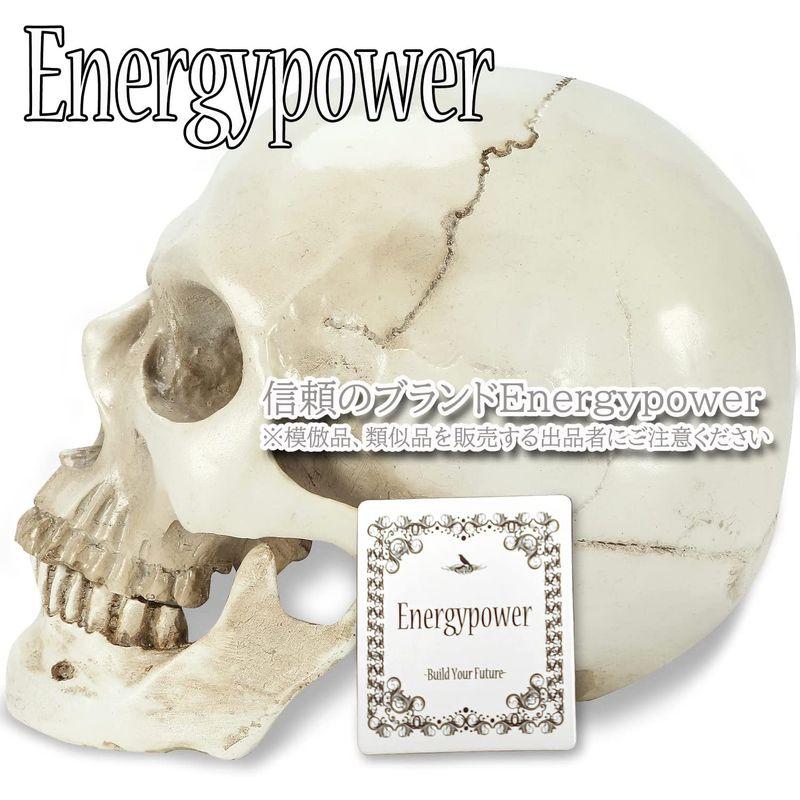 【メール便】 EnergyPower 実物大 頭蓋骨 レプリカ あごが動く可動式 骸骨 人体模型 骨格標本 骨格模型 等身大 精密模型 精密モデル 理科/ 【2225691664】(11583円)
