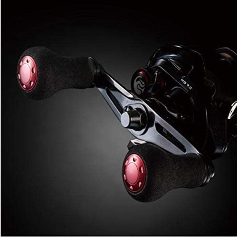 シマノ(SHIMANO) ベイトリール タイラバ 両軸 16 炎月BB 101PG 左ハンドル フォールタイラバ マダイ ベイトリール タイラバ 左ハンドル マダイ SHIMANO 両軸 炎月BB 101PG フォールタイラバ