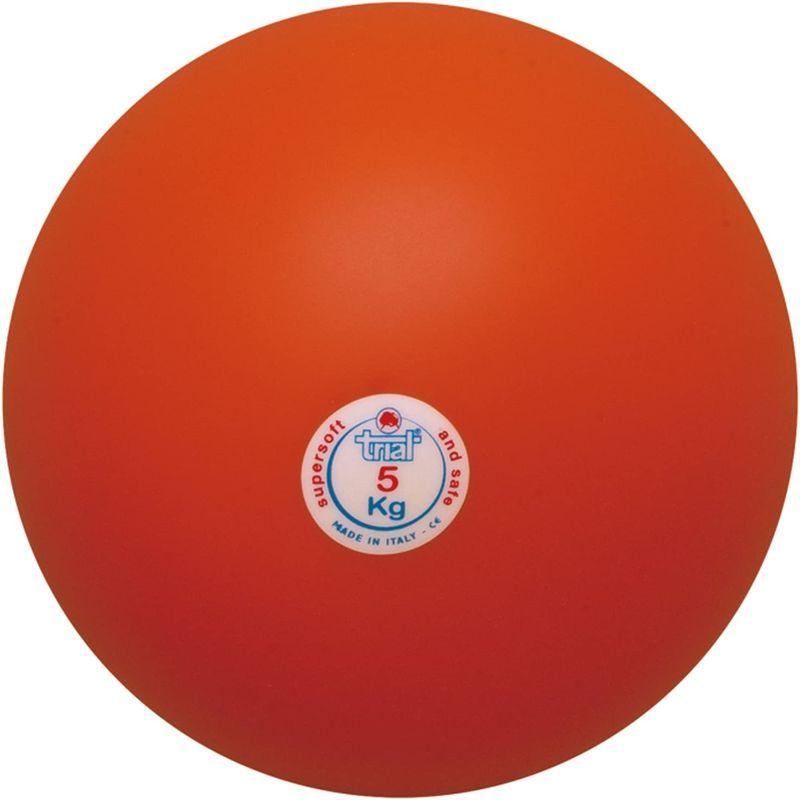 ✨美品✨ NISHI(ニシ・スポーツ) 砲丸 室内用 ソフトゴム製 5.0kg T5555 【A2892479632】(15054円)