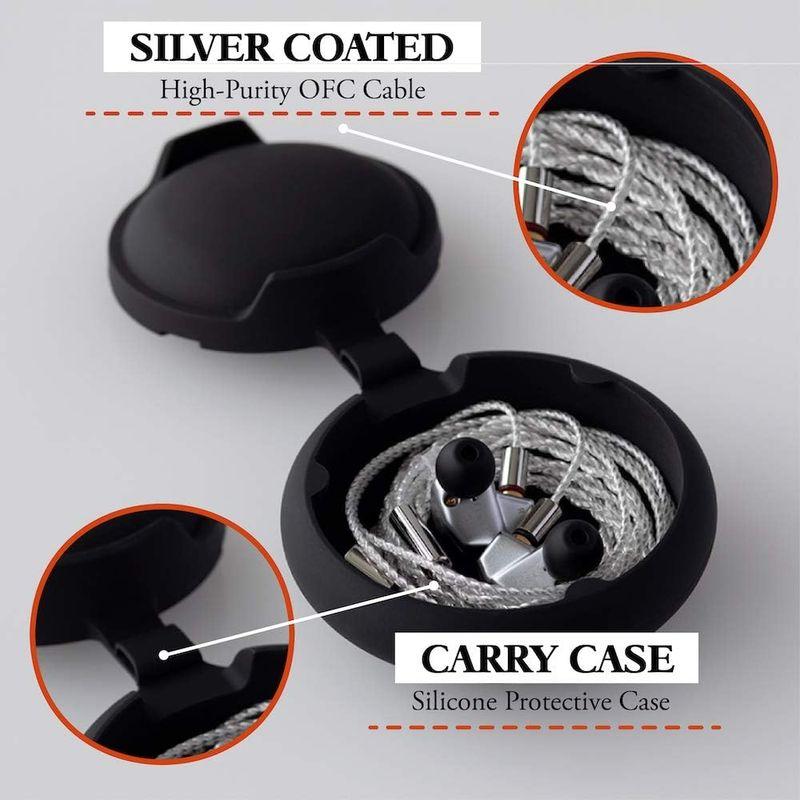 新春SALE！ final カナル型 有線 イヤホン B3 FI-B3B2SSD バランスドアーマチュア型 Bシリーズ 【KU1113130012】(39484円)