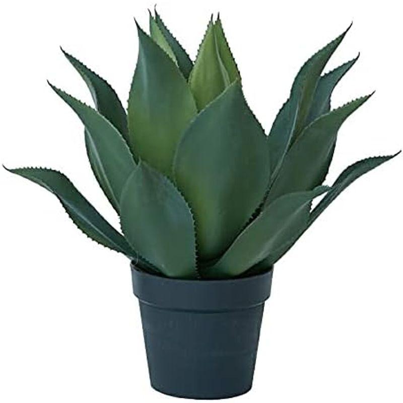 【超激レア】 人工観葉植物 アガベアテナータポット50 （1個） bb250-0 （代引き不可） p85 【G4478620352】(23310円)