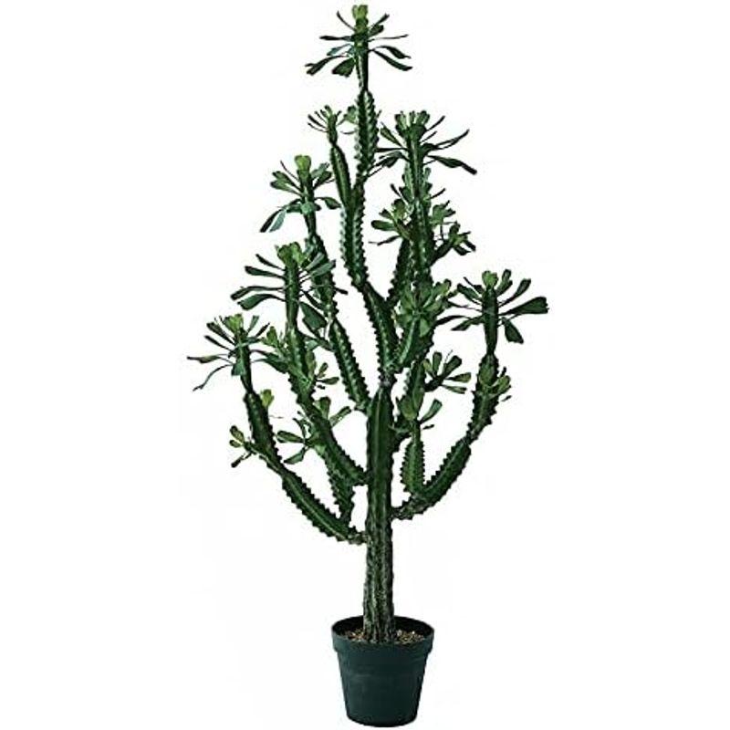 人工観葉植物 ユーフォルビアポット147 （1個） bb490-0 （代引き不可） p107 （1個） ユーフォルビアポット147 p107 （代引き不可） 人工観葉植物 bb490-0