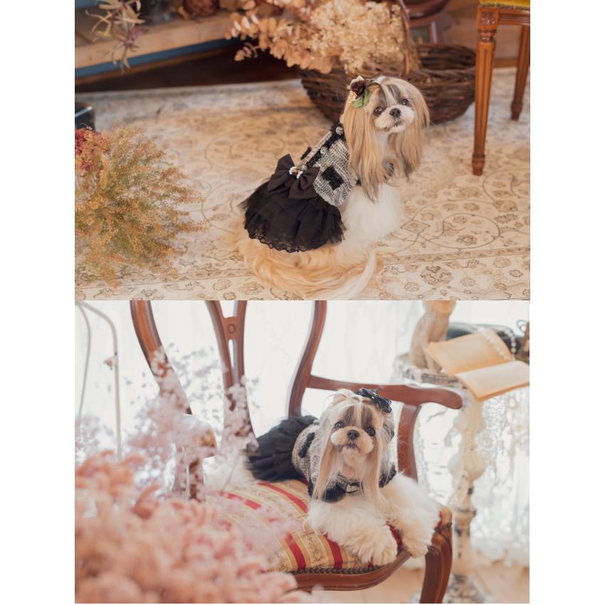 キャンナナ　ツイードワンピSサイズ CanNana 秋冬【きゃんナナ】 ツイード×チュールドッキングワンピース