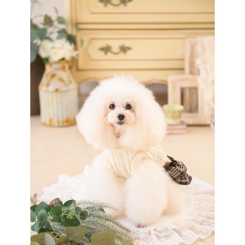 CanNana 秋冬【きゃんナナ】 ニットとチェックのドッキングワンピース