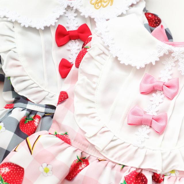 きゃんナナ 犬服 ワンピース 春夏 【きゃんナナ】いちご