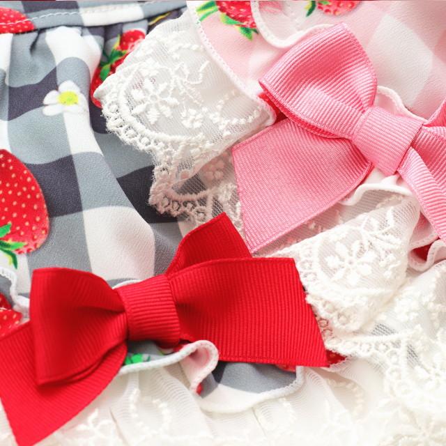 きゃんナナ 犬服 ワンピース 春夏 【きゃんナナ】いちごプリンセス