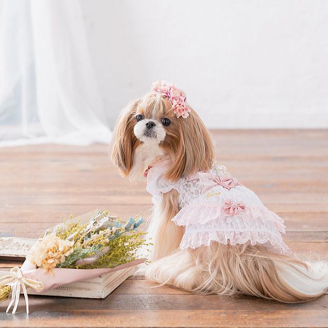 CanNana きゃんナナ 犬服 夏 きゃんナナ サマーレースワンピース