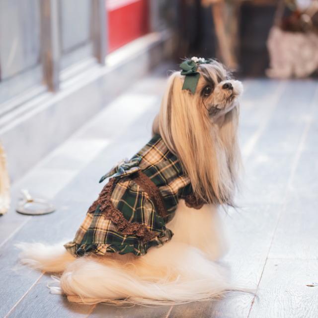 きゃんナナ 赤チェックワンピース L CanNana 犬服 秋服 きゃんナナ クラシカルチェックワンピース SS