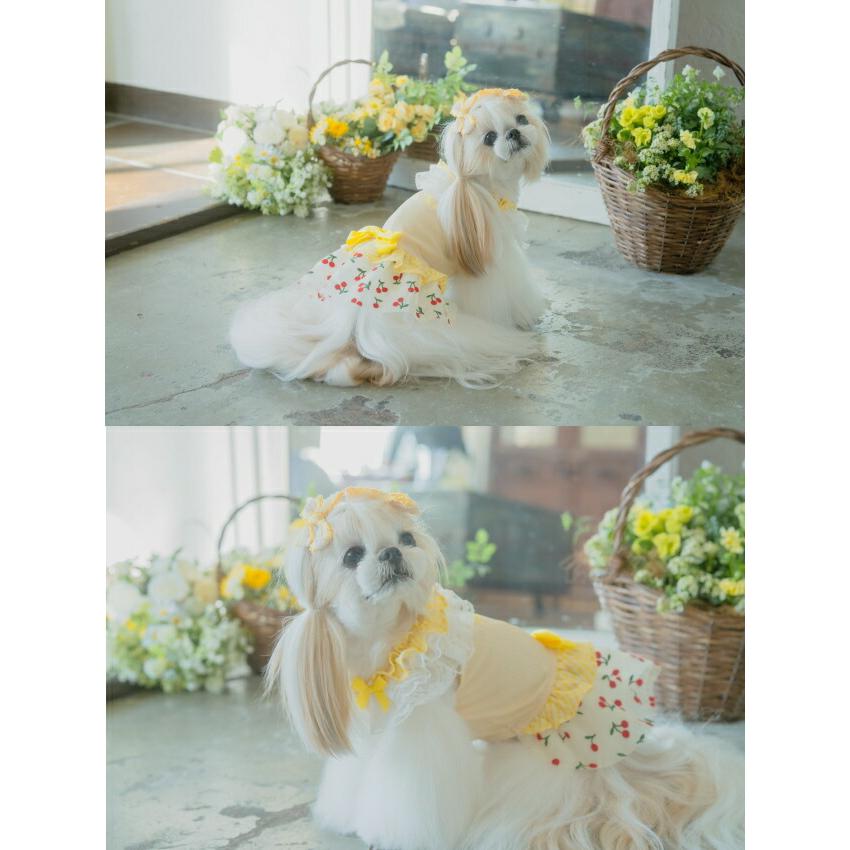 CanNana きゃんナナ 犬服 春 夏 さくらんぼチュールワンピース SS-L