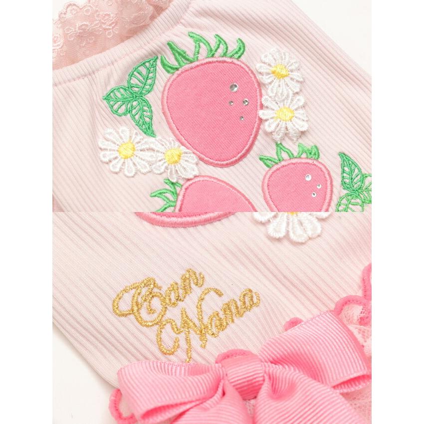 CanNana きゃんナナ 犬服 春 夏 あまいイチゴのレースフリルワンピース