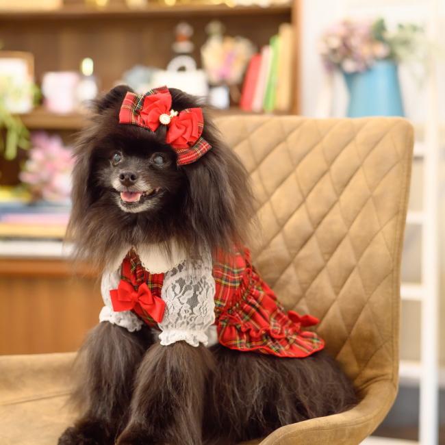 CanNana 犬服 セーター ドッグウェア 白襟タータンチェックワンピース