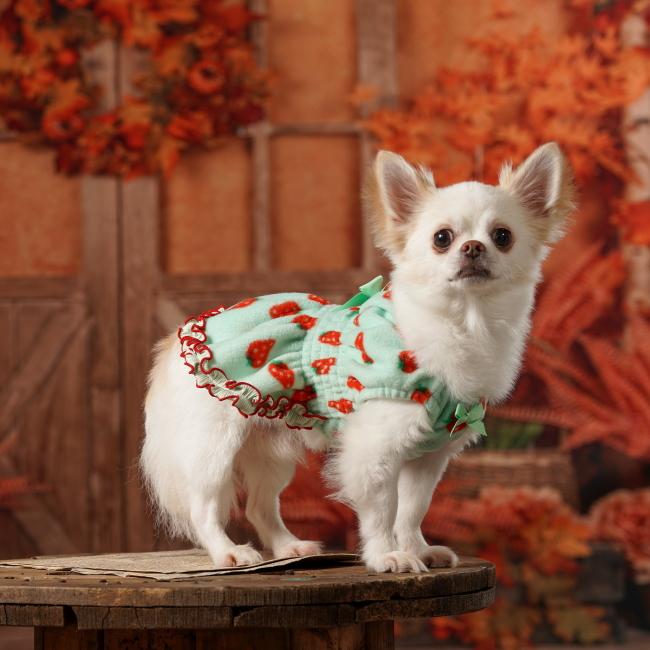 CanNana 犬服 ドッグウェア 冬いちご シャーリングワンピース 秋 冬服