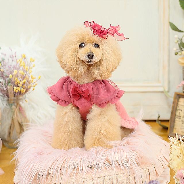 犬服 パーティードレス  きゃんくまパフスリーブワンピース クマ 秋 冬服 冬ワンピ きゃんナナ SS-Lサイズ ドッグウェアレッド ピンク CANNANA DOGWEARの画像