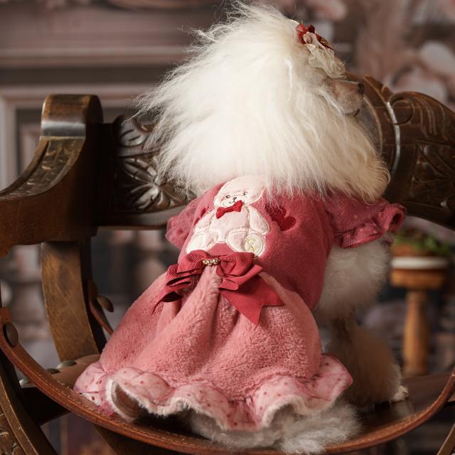 犬服 パーティードレス  きゃんくまパフスリーブワンピース クマ 秋 冬服 冬ワンピ きゃんナナ SS-Lサイズ ドッグウェアレッド ピンク CANNANA DOGWEARの画像