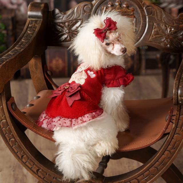 犬服 パーティードレス  きゃんくまパフスリーブワンピース クマ 秋 冬服 冬ワンピ きゃんナナ SS-Lサイズ ドッグウェアレッド ピンク CANNANA DOGWEARの画像