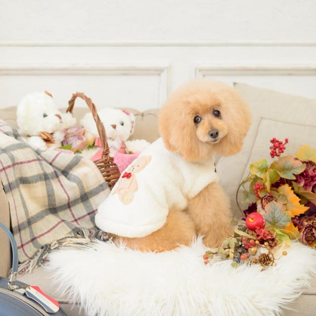 CanNana 犬服 セーター ドッグウェア きゃんくまボアジャケット 秋 冬