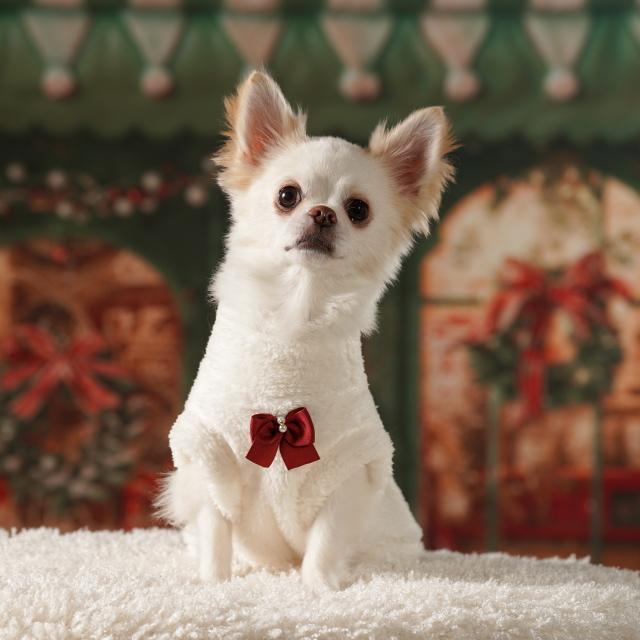 CanNana 犬服 セーター ドッグウェア きゃんくまボアジャケット 秋 冬