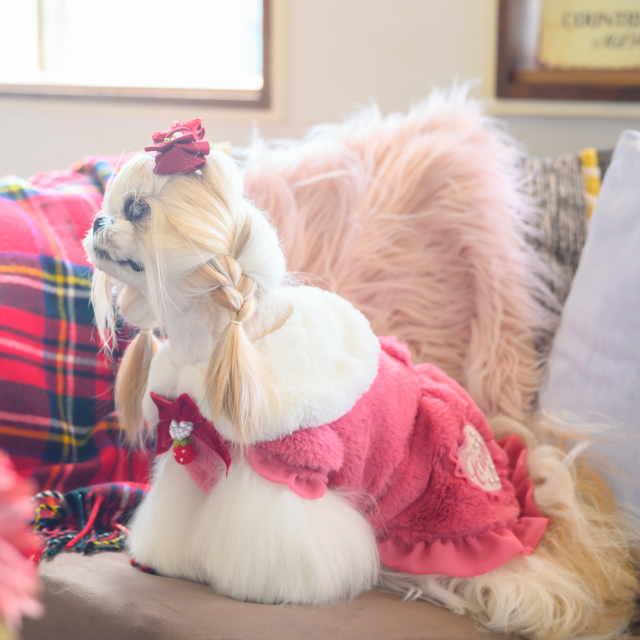 CanNana 犬服 コート ドッグウェア ブローチ付き冬いちごファーコート