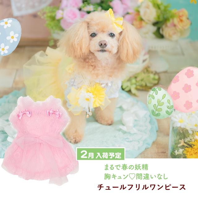 CanNana 犬服 春 チュールフリルキャミワンピース SS-Lサイズ きゃん