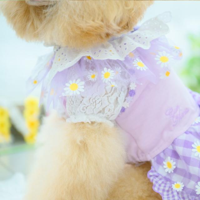 CanNana 犬服 春 フラワーギンガムワンピース SS-Lサイズ きゃんナナ