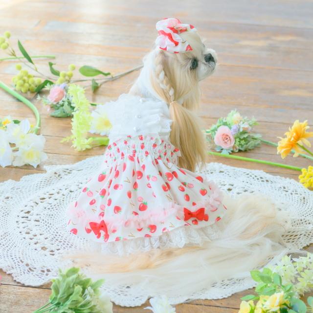 CanNana 犬服 春 いちご柄シフォンドッキングワンピース SS-Lサイズ