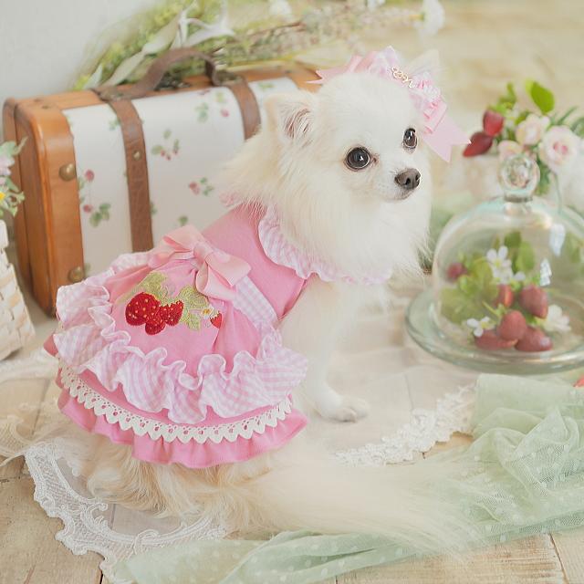 CanNana 犬服 春 レトロいちごギンガムフリルワンピース SS-Lサイズ