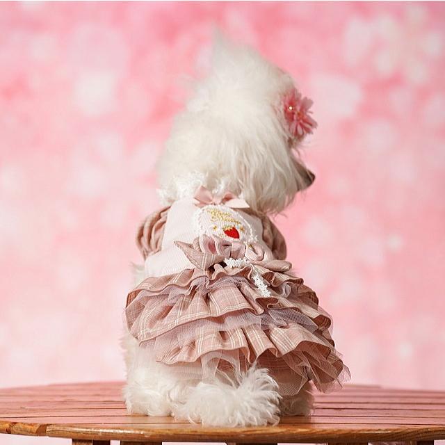 CanNana 犬服 春 レトロいちごタータンチェックワンピース SS-Lサイズ