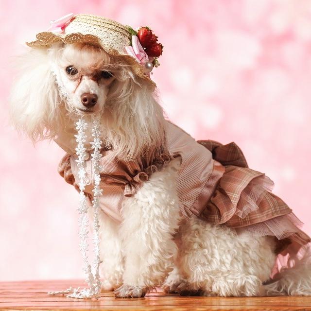 CanNana 犬服 春 レトロいちごタータンチェックワンピース SS-Lサイズ