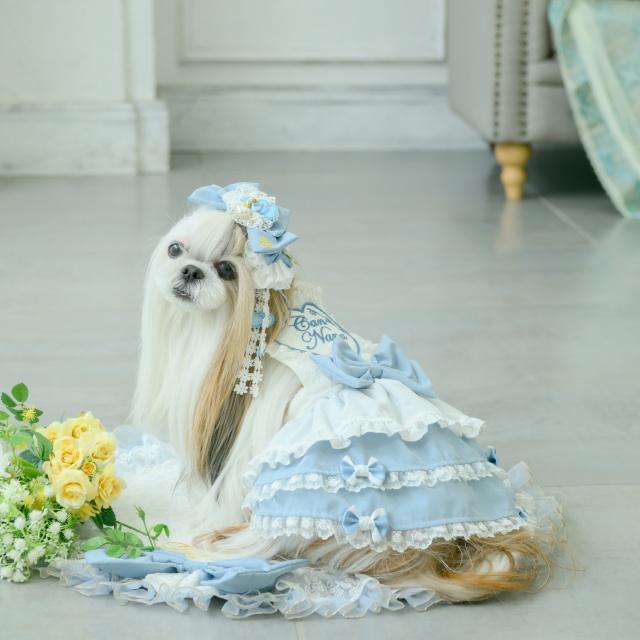 お値下【新品】CanNana 【きゃんナナ】アリスエプロンワンピース CanNana 新作 犬服 ワンピース 【きゃんナナ】アリスエプロン