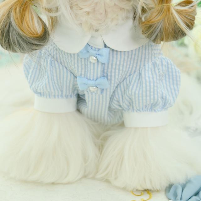 CanNana 犬服 ワンピース 【きゃんナナ】アリスストライプシャツ