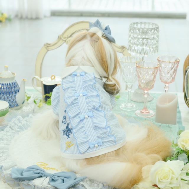 CanNana 犬服 ワンピース 【きゃんナナ】アリスストライプシャツ