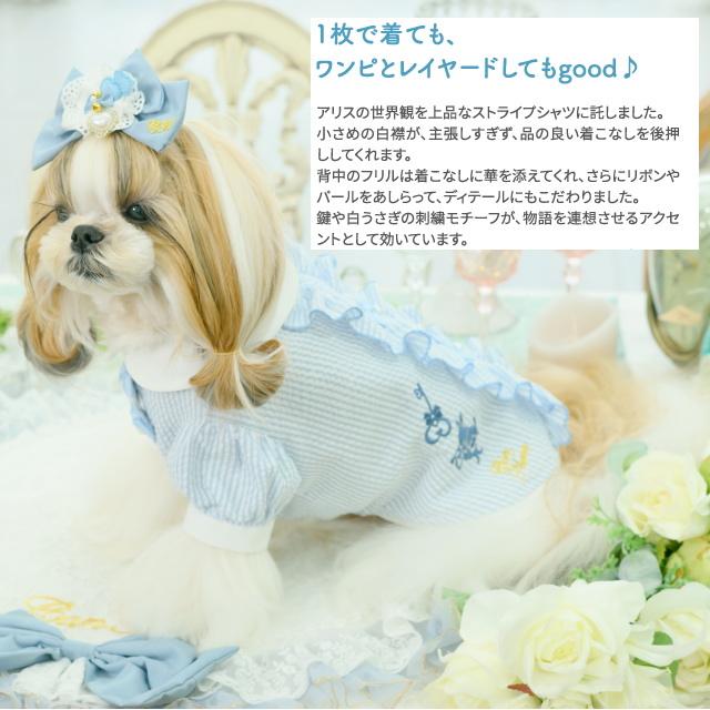 きゃんナナ アリスストライプシャツ ブルー Lサイズ CanNana 犬服 ワンピース 【きゃんナナ】アリスストライプシャツ