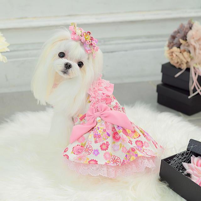 【新品】CanNana キャンナナ　犬服　ドッグウェア　ワンピース 楽天市場】犬服 夏 和柄 ドッグウェア ワンピース 猫 キャンナナ