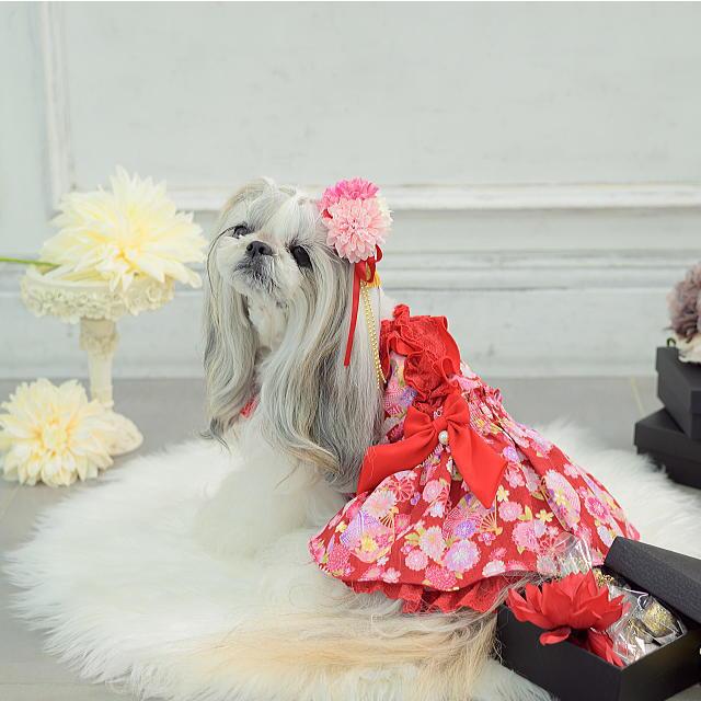 【新品】CanNana キャンナナ　犬服　ドッグウェア　ワンピース 楽天市場】秋冬【きゃんナナ】小花柄ウエストゴムワンピース S