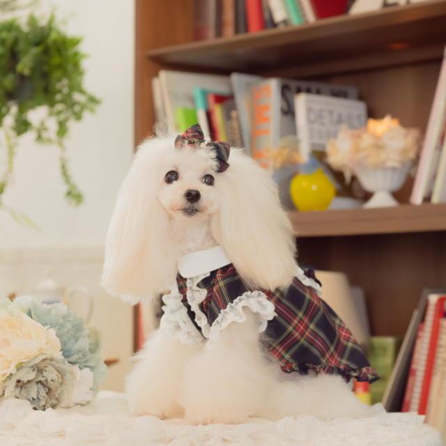 新作 ドッグウェア 犬服  秋冬【きゃんナナ】クラシカルフリルブラウスSS-Lサイズ レッド ネイビー red タータンチェックの画像