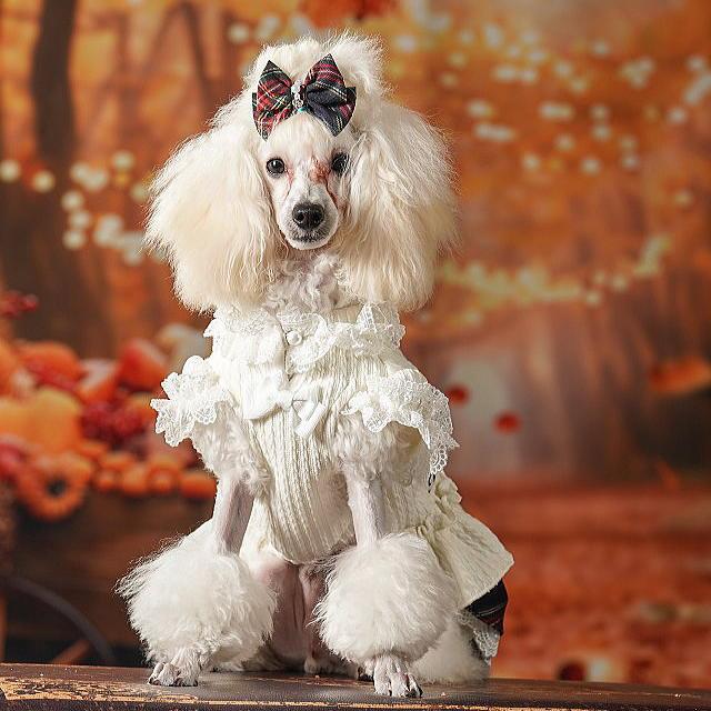 CanNana ドッグウェア 犬服 秋冬【きゃんナナ】クラシカルチェック