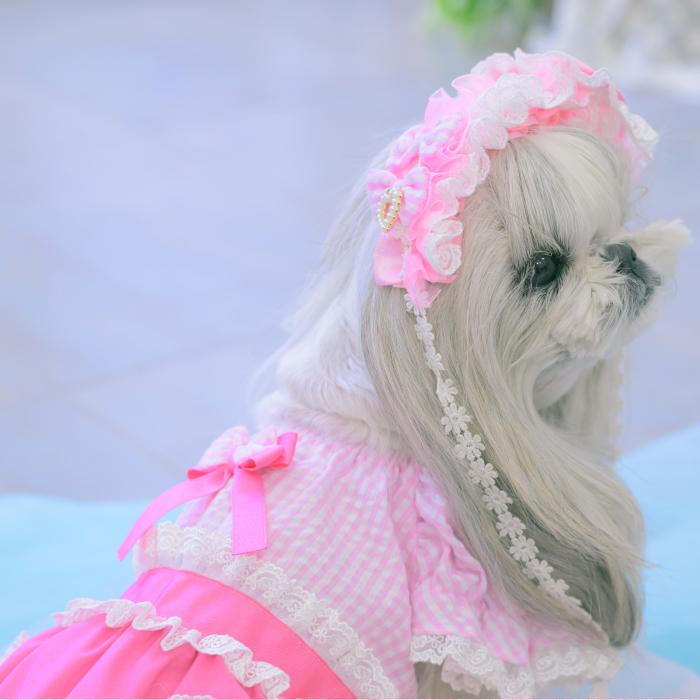CanNana 犬服 春 夏 ワンピース ピンク キャンナナ ハートギンガム