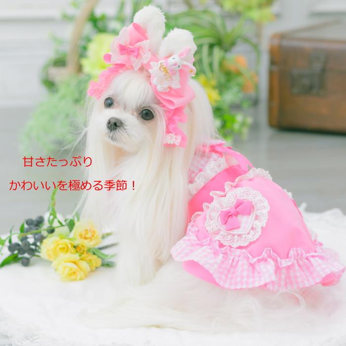 CanNana サマーレースワンピース 犬服　ピンク S CanNana 犬服 春 夏 ワンピース ピンク キャンナナ ハートギンガム