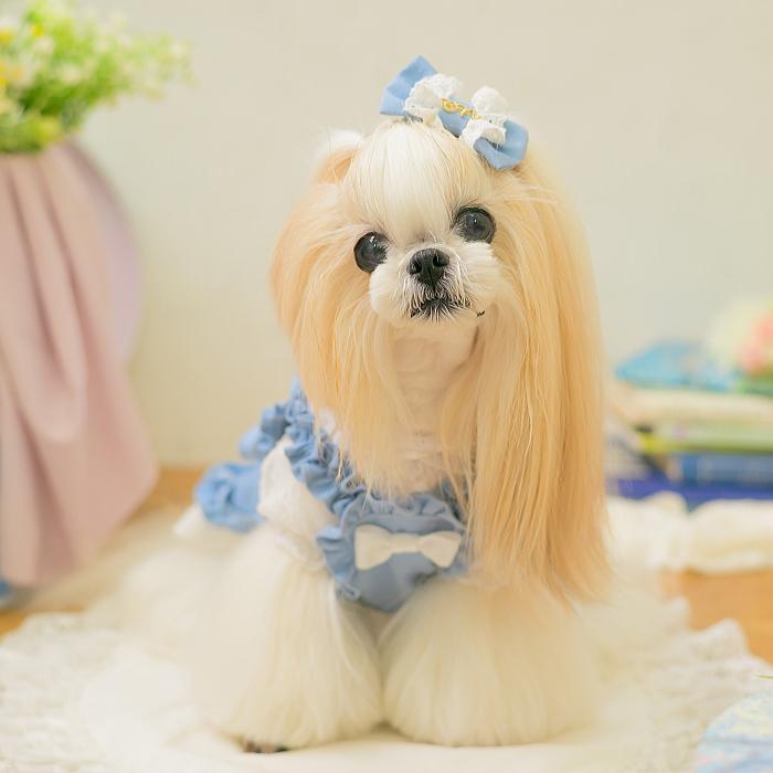 CanNana 犬服 春 夏 ワンピース キャンナナ ストレッチデニム