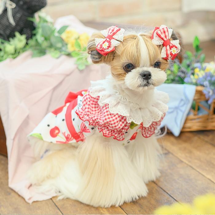 犬服 春 夏 ワンピース  キャンナナ オリジナルさくらんぼ柄Coolワンピース SS-Lサイズ 小型犬 クール 新作 ブルー White Cannana 3月入荷予定の画像