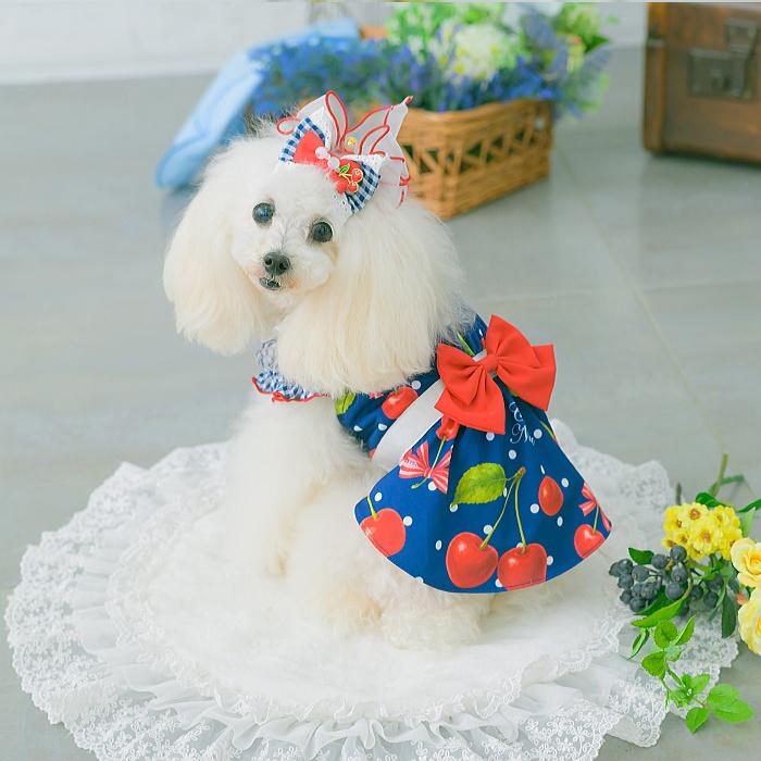 犬服 春 夏 ワンピース  キャンナナ オリジナルさくらんぼ柄Coolワンピース SS-Lサイズ 小型犬 クール 新作 ブルー White Cannana 3月入荷予定の画像