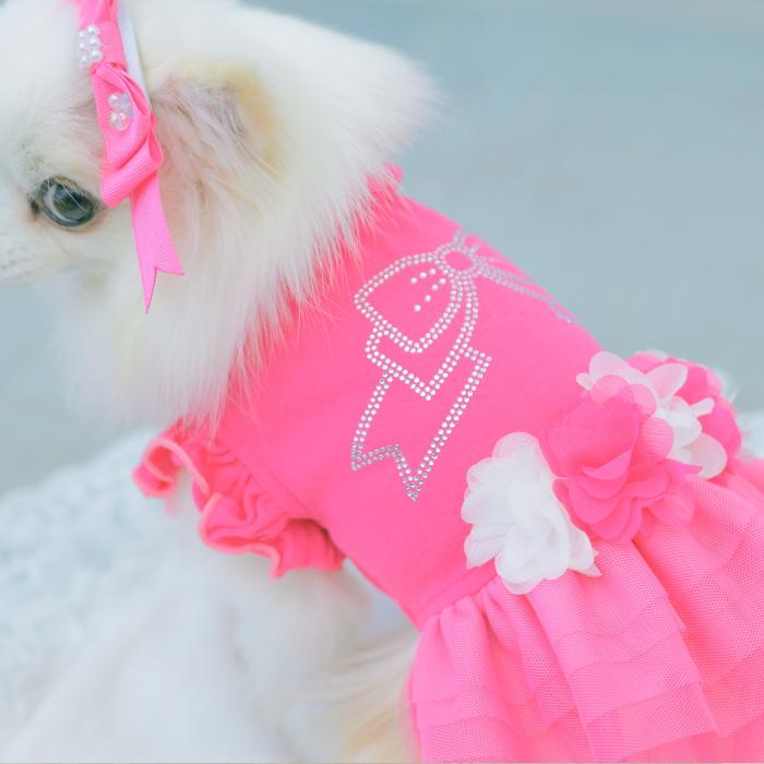 犬服 春 夏 ワンピース  キャンナナ チュールバレリーナワンピース SS-Lサイズ 小型犬 ピンク 新作 ブルー オレンジ Cannana 3月入荷予定の画像